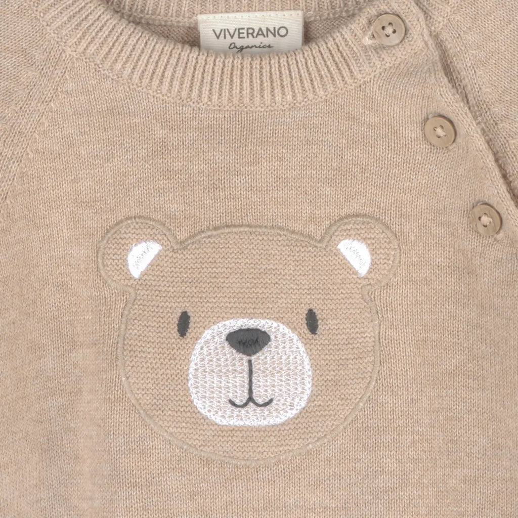 Teddy Bear Applique Raglan Pullover (Organic Cotton)